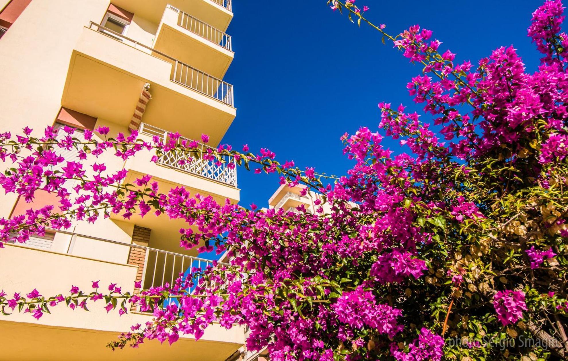 237 Minerva Apartamentos - PISCINA ABIERTA - EXCELENTE CONEXIÓN WIFI Málaga Exterior foto